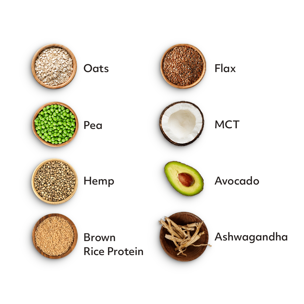 VEGAN COMPLETE 360 MEAL