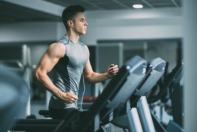 WHEY PROTEIN 360