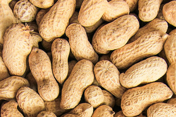 Loaded Nuts