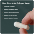 marine_collagen_360_-_pdp_-_1_1_1.png