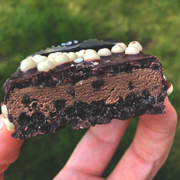 VEGAN PROTEIN