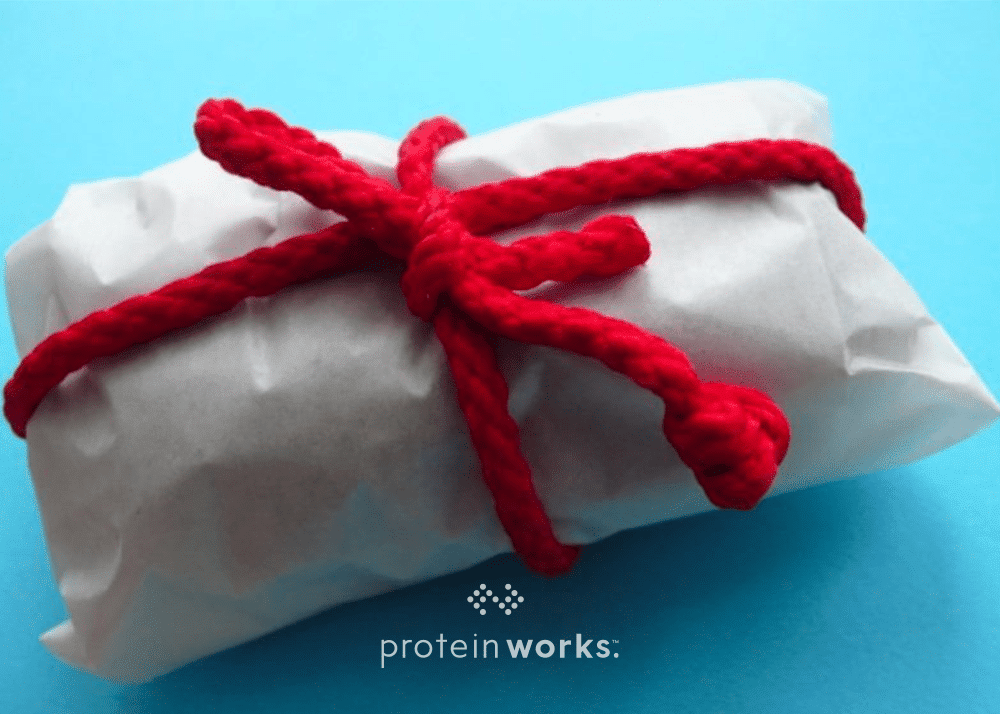 Dark Chocolate Casein Protein Bars