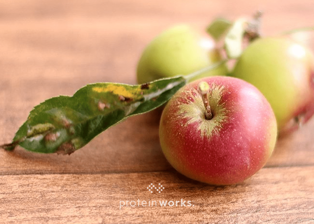 A Healthy, High-Protein Apple Crumble? OK Then!