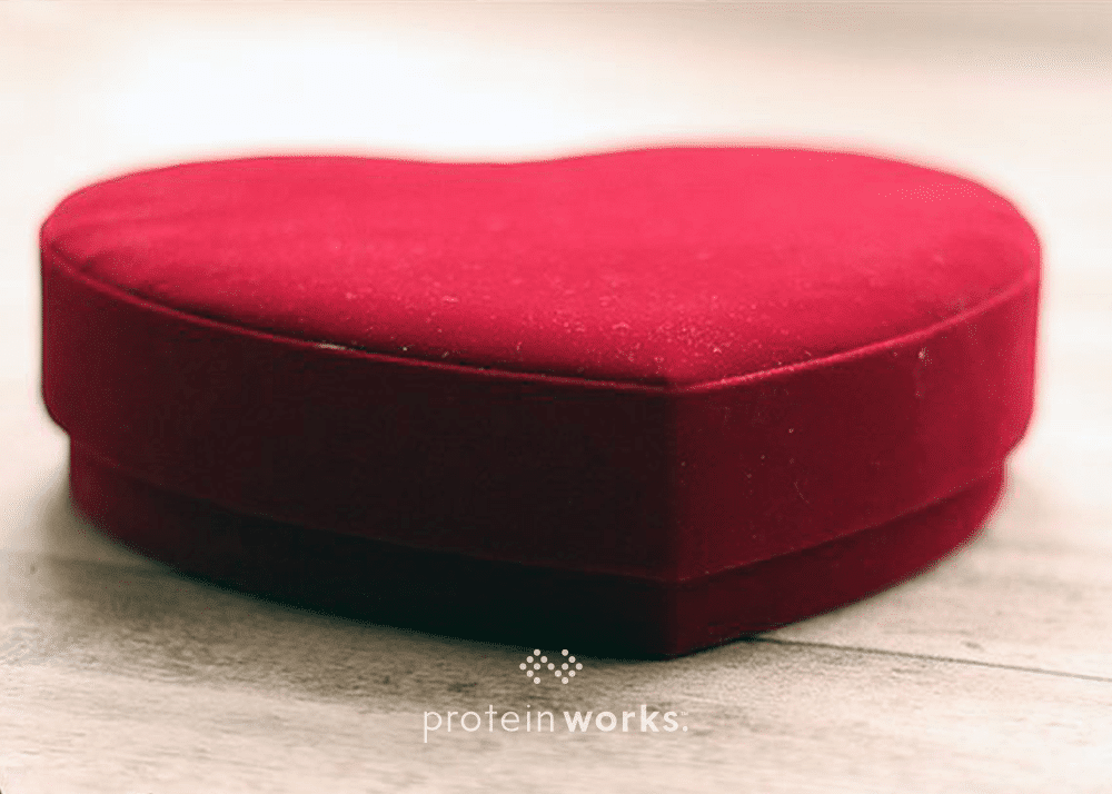 Valentine's Day Protein Chocolates -Five Ways