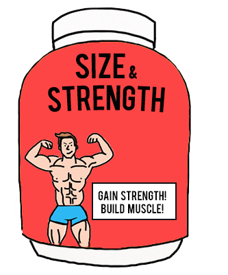 Do Protein Powders Work Muscle