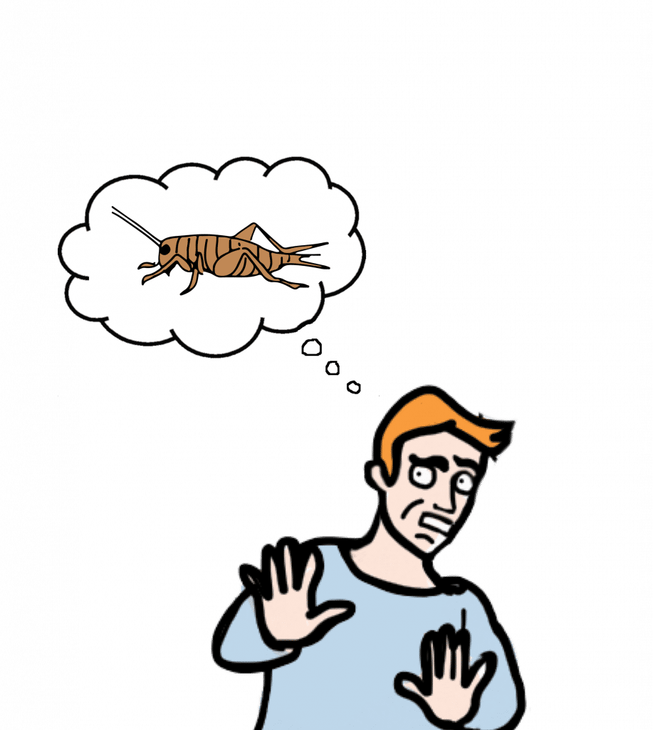 Eating Insects for Protein