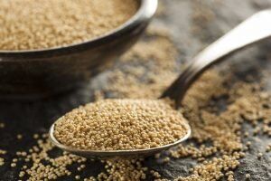 What Are the Best Sources of Vegan Calcium? Our Guide to the Top 10