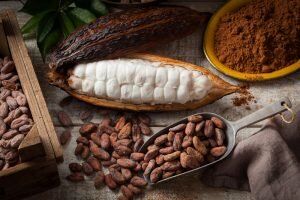 Top 5 Proven Health Benefits of Dark Chocolate 