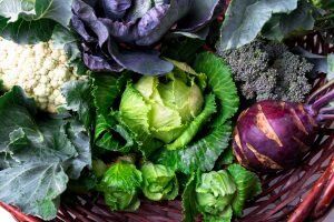 What Are the Best Sources of Vegan Calcium? Our Guide to the Top 10