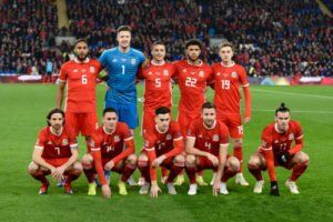 gareth bale, ashley williams, vegan, wales, football
