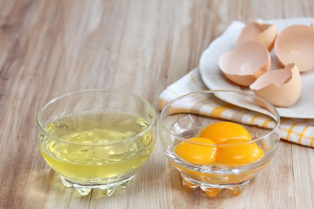 What Is Egg Protein?