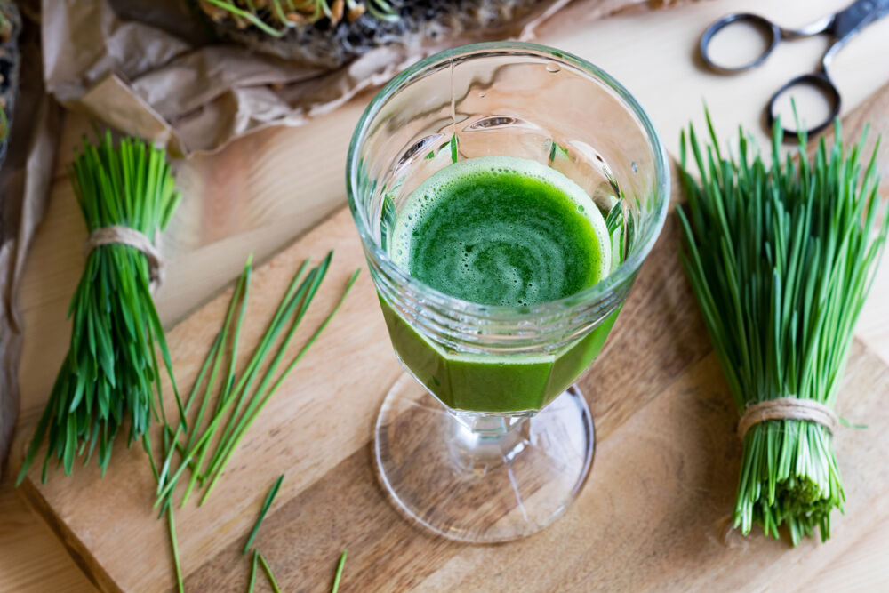Four Benefits Of Supplementing With Wheatgrass