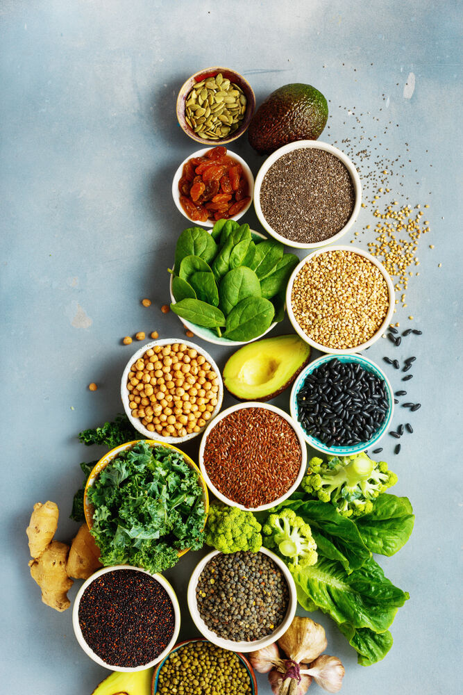 The Nutrition Basics