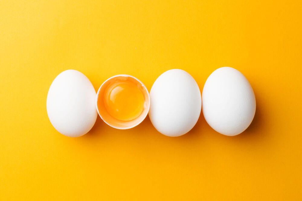 The Benefits Of Egg Protein