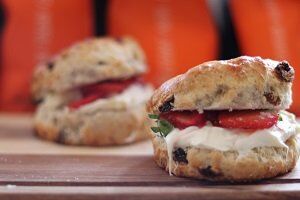 Protein Scones